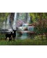 Deer By The Water Canvas