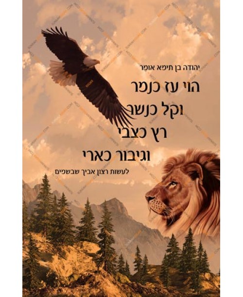 Yehuda Ben Teima Canvas